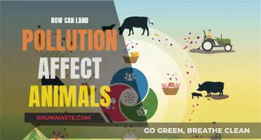 Land Pollution's Impact on Animals: A Serious Concern