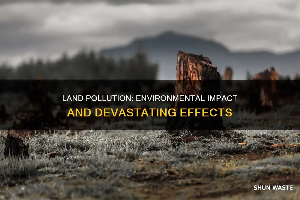 how can land pollution affect the environment