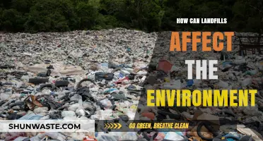 Landfills' Environmental Impact: Pollution, Wildlife Threats, and Climate Change Concerns
