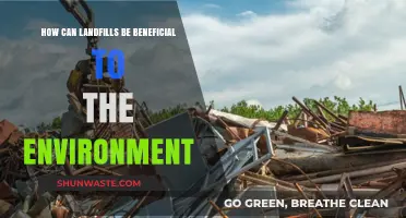 Landfills' Surprising Environmental Benefits: Recycling, Energy, and Ecosystem Restoration