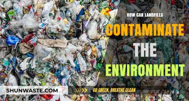 Landfills' Toxic Legacy: Environmental Contamination and Its Devastating Impact