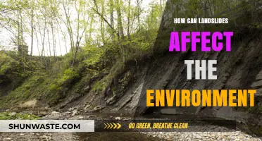 Landslides' Environmental Impact: Soil, Water, and Ecosystem Disruption Explained