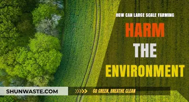 Large-Scale Farming's Environmental Impact: Soil, Water, and Biodiversity at Risk