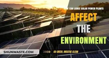 Environmental Impacts of Large-Scale Solar Power Plants: Benefits and Challenges