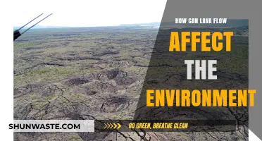 Lava Flow's Environmental Impact: Land, Air, and Ecosystem Changes Explained