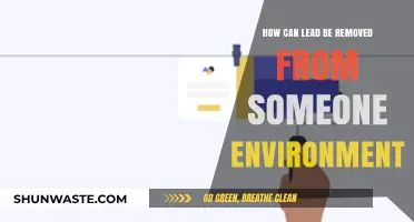 Effective Strategies to Safely Remove Lead from Your Environment