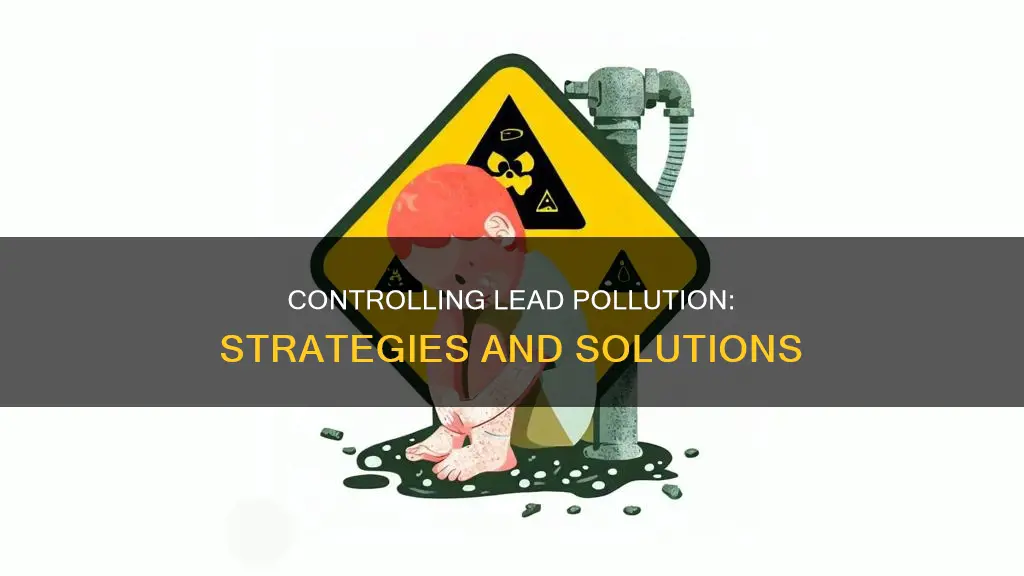 how can lead pollution be controlled