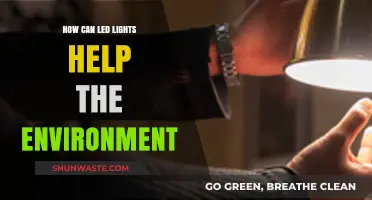 LED Lights: Eco-Friendly Solutions for a Greener, Sustainable Future