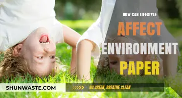 Lifestyle Choices and Their Impact on the Environment: A Comprehensive Analysis