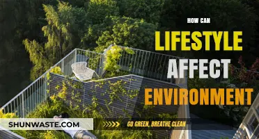 Sustainable Living: How Your Daily Choices Impact the Environment