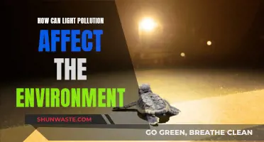 Light Pollution: Environmental Impact and Solutions