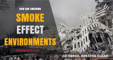 Lingering Smoke's Environmental Impact: Unseen Hazards and Long-Term Consequences