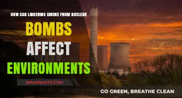 Lingering Nuclear Smoke: Environmental Impacts and Long-Term Consequences
