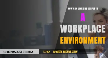 Linux in the Workplace: Boosting Efficiency and Security for Teams