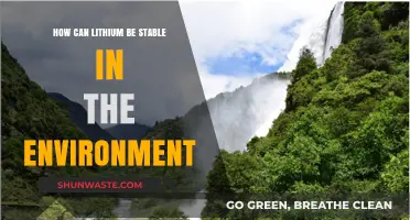 Ensuring Lithium's Environmental Stability: Strategies for Sustainable Management