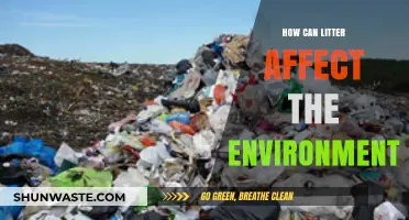 Litter's Devastating Impact: How Trash Harms Our Environment and Wildlife