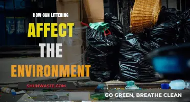Littering's Devastating Impact: How Trash Destroys Ecosystems and Wildlife