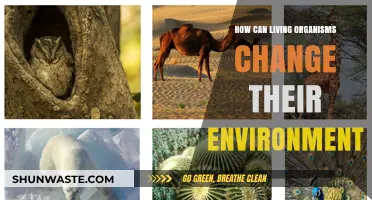 How Living Organisms Shape and Transform Their Surroundings Over Time