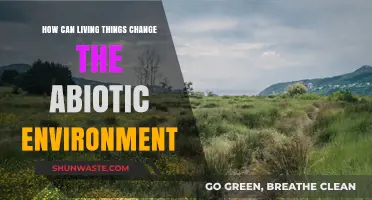 Living Organisms' Impact: Transforming the Abiotic Environment Around Us