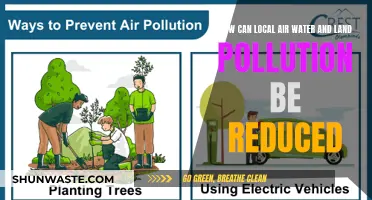 Reducing Local Pollution: Air, Water, and Land