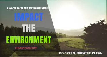 Local and State Policies: Shaping a Sustainable Environmental Future
