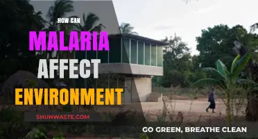 Malaria's Environmental Impact: Ecosystems, Climate, and Biodiversity at Risk