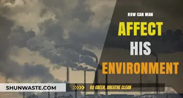 Human Impact: Shaping Our Environment Through Actions and Choices
