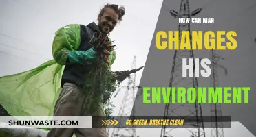 How Humans Shape Their Environment: Impact and Transformation Strategies