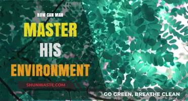 Mastering Your Environment: Strategies for Human Adaptation and Control
