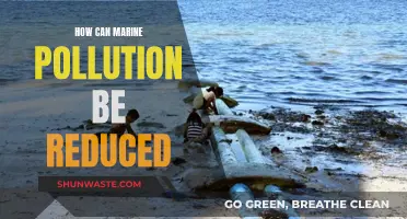 Reducing Marine Pollution: Strategies for a Cleaner Ocean