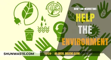 Sustainable Marketing Strategies: How Brands Can Drive Environmental Change