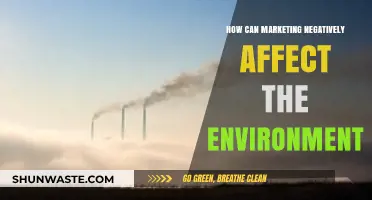 Marketing's Environmental Impact: Uncovering Hidden Costs of Consumer Engagement