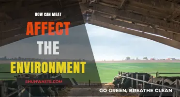 Meat's Environmental Impact: Uncovering the Hidden Costs of Consumption
