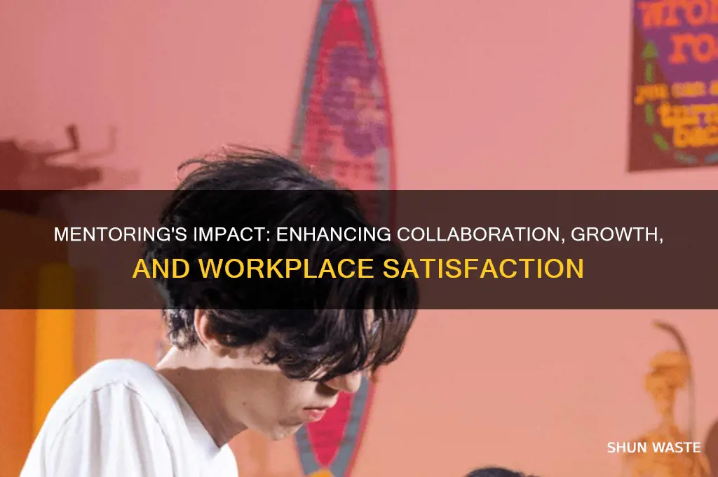 how can mentoring improve your work environment