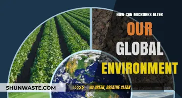 Microbial Power: How Tiny Organisms Shape Our Global Environment