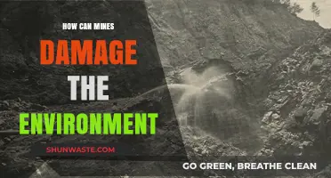 Mining's Environmental Impact: Uncovering the Devastating Effects on Ecosystems