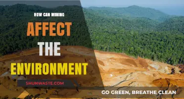 Mining's Environmental Impact: Exploring the Effects on Ecosystems and Climate