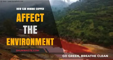 Copper Mining's Environmental Impact: Pollution, Habitat Loss, and Ecosystem Disruption