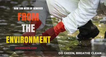 Effective Methods to Remove MTBE from the Environment Safely