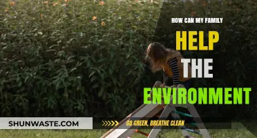 Simple Eco-Friendly Steps: How Your Family Can Protect the Environment
