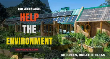 Sustainable Schools: Empowering Students to Protect Our Planet Together