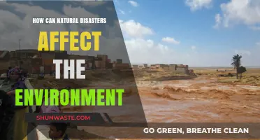 Natural Disasters' Environmental Impact: Devastation, Recovery, and Long-Term Consequences