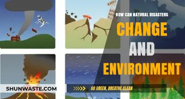 Natural Disasters' Impact: Transforming Ecosystems and Reshaping Our Environment