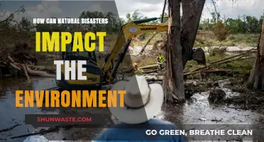 Natural Disasters' Devastating Environmental Impacts: Causes, Effects, and Recovery