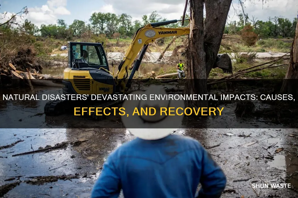 how can natural disasters impact the environment