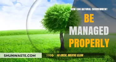 Sustainable Practices for Effective Natural Environment Management and Conservation