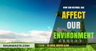 Natural Gas Impact: Environmental Effects and Sustainable Solutions Explored