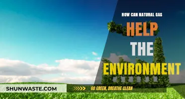 Natural Gas: A Cleaner Energy Source for Environmental Sustainability