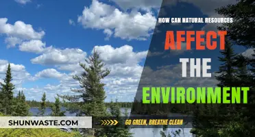 Natural Resources' Impact: Shaping Ecosystems and Environmental Sustainability