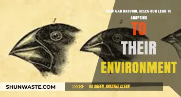 Natural Selection's Role in Species Adapting to Their Environments